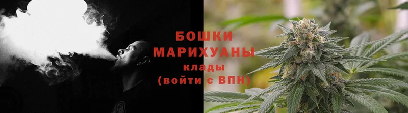 Конопля SATIVA & INDICA  Дагестанские Огни 